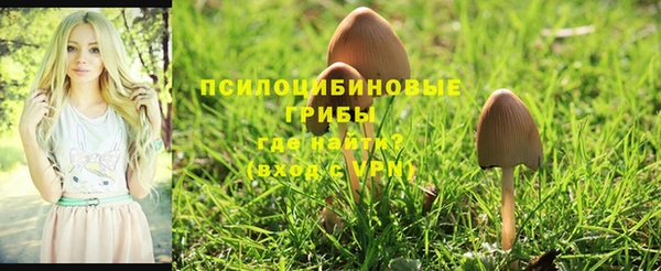 не бодяженный Алексин