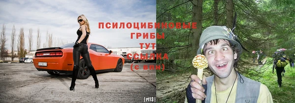 не бодяженный Алексин