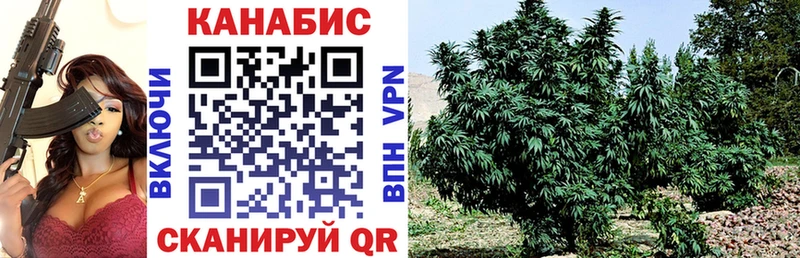как найти закладки  OMG зеркало  Марихуана индика  Неман 